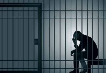 Silhouette of a person sitting in a jail cell.