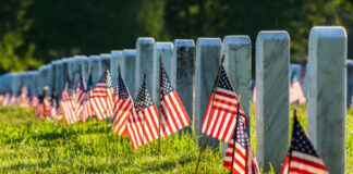 Rows of white headstones with small American flags in a sunlit cemetery