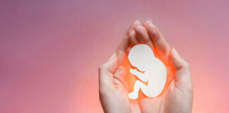 Hands holding a paper-cut fetus silhouette.