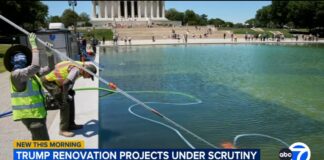 Algae turns renovated Lincoln Memorial Reflecting Pool green