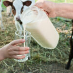 Raw Milk Outbreak Rocks Idaho — 45 Infected A hand pouring fresh milk into a glass held by a child, with cows in the background