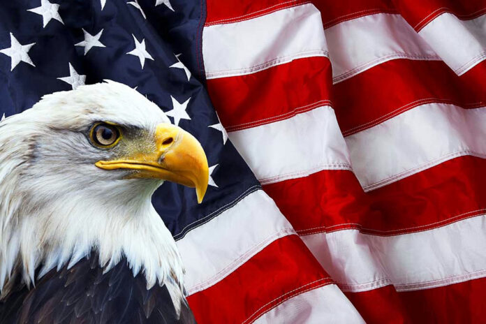 244441918 Bald eagle in front of the American flag.