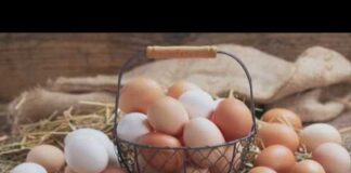 Settlement with egg producers will give Iowa nearly $90K, donated eggs