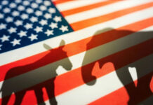 Woke Rules Axed The Patriotic Conductor Shadows of a donkey and elephant on an American flag